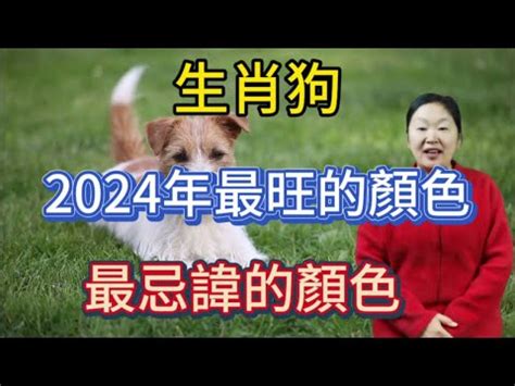 屬狗運勢2023|西元2023屬狗生肖流年運勢!民國112年肖狗生人制死符。